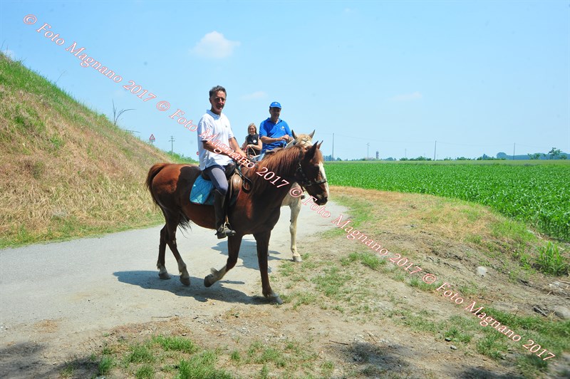 DSC_1060.JPG